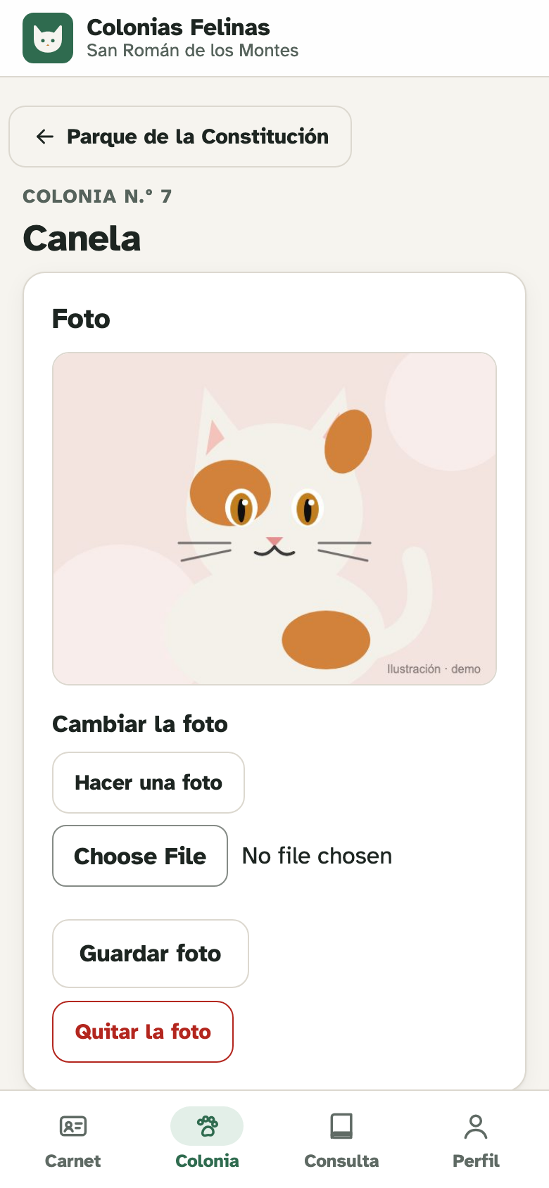 Ficha individual de un gato con sus tratamientos